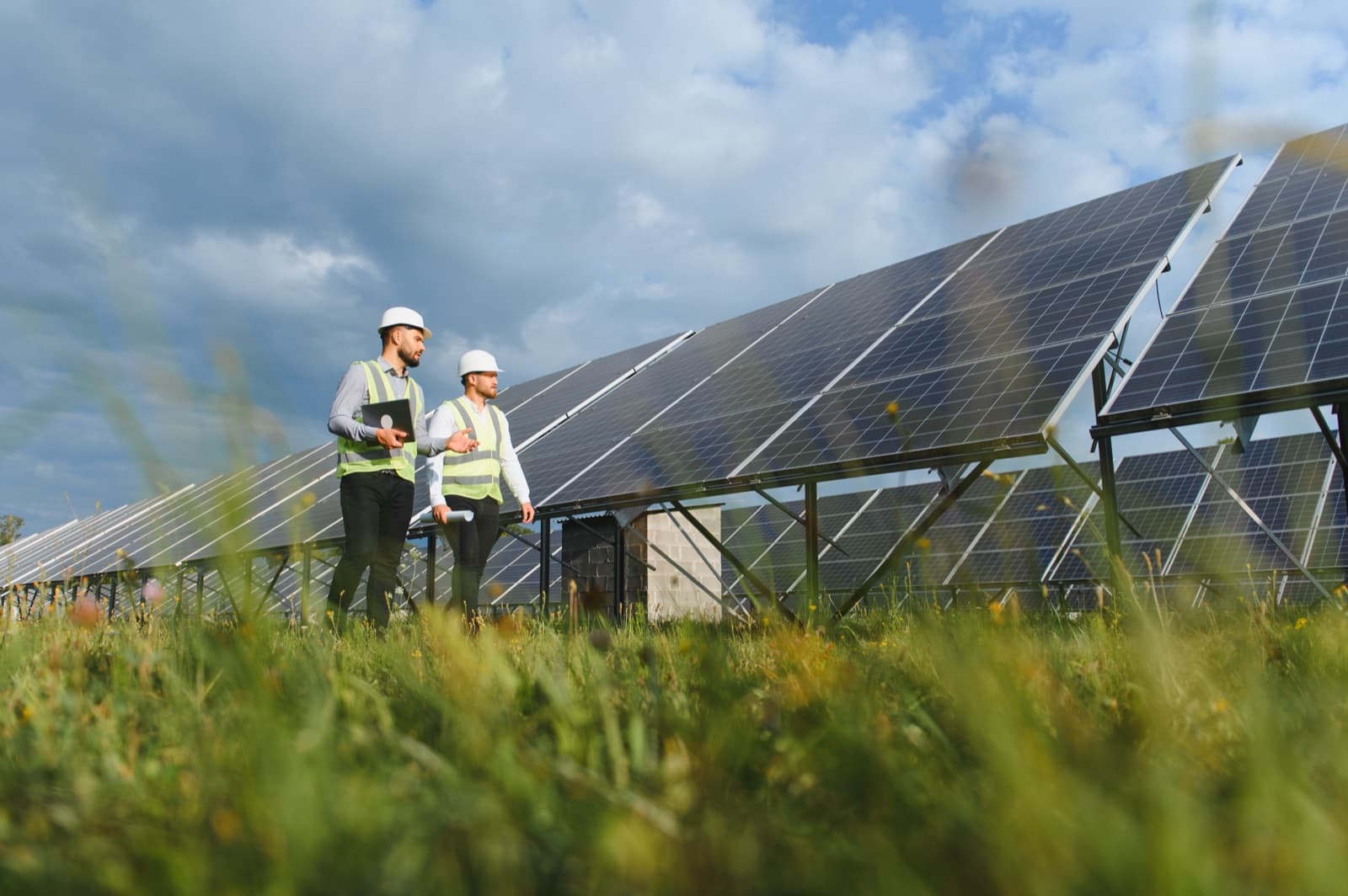 Solar & Renewables